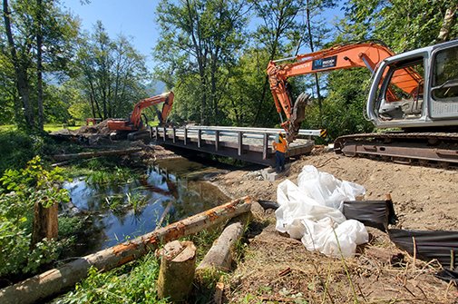 Habitat-Recovery-Skagit-Carey-Creek
